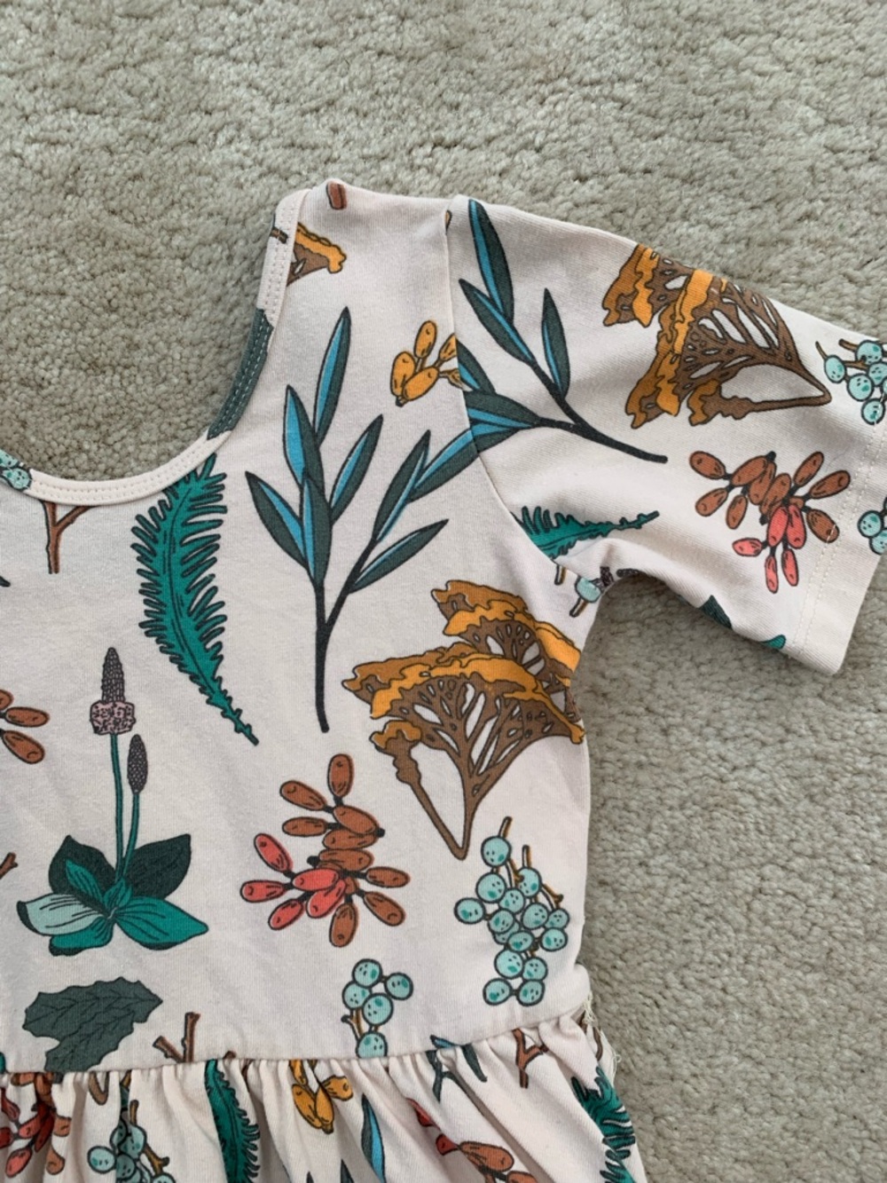 Alice + Ames Size 8 The Short Sleeve Ballet Twirl Dress in Herbal Study Plants - Picture 4 of 5